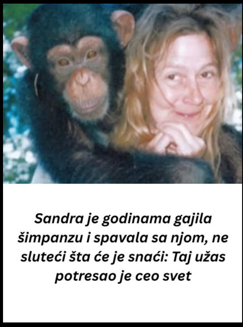 Kada ljubav prema životinji pređe granicu: priča o Sandri i šimpanzi Travisu