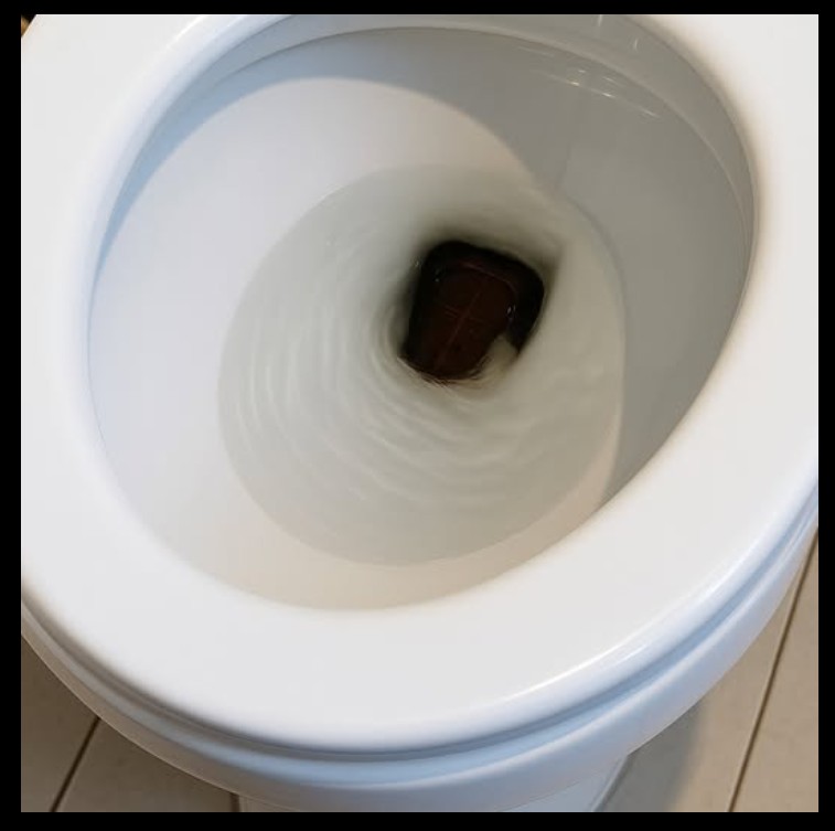 Nezvani gost u kupatilu