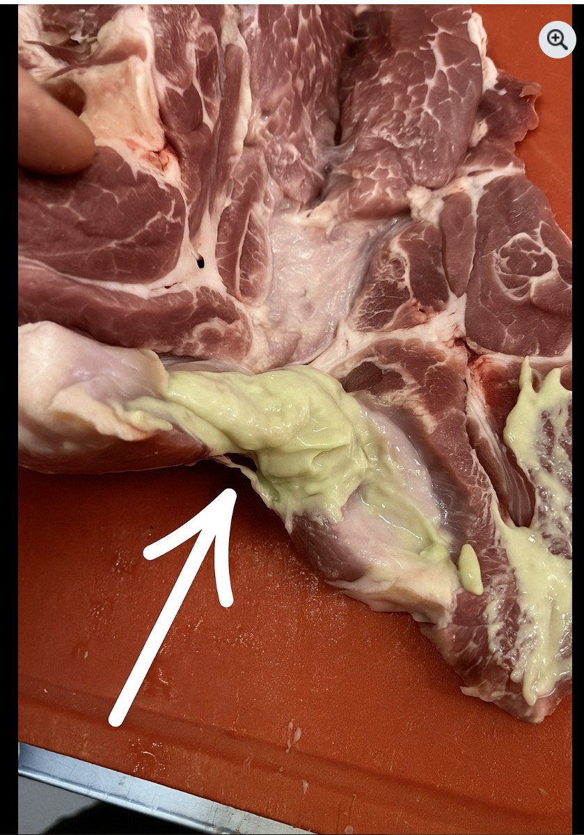 Što se krije iza ambalaže: Slučaj s pokvarenim mesom koji je potresao javnost i važan pouka za sve potrošače