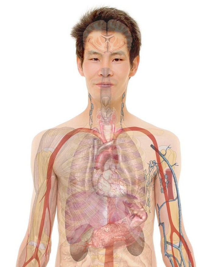 🩺 Rak jednjaka – simptomi, uzroci i prevencija: kako prepoznati bolest na vreme