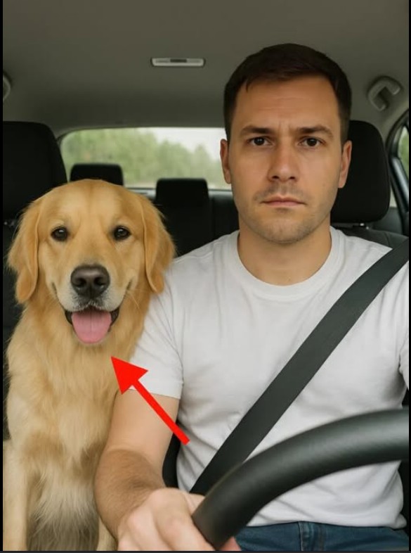 “Bella je primijetila ono što ja nisam – i spriječila nezgodu”