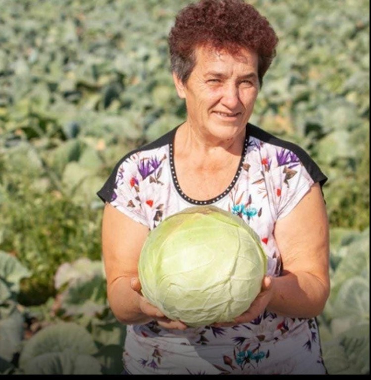 Kako pravilno kisiti futoški kupus: savjeti Slobodanke iz Futoga