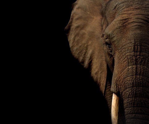 Kada običan izlet postane susret sa snagom prirode