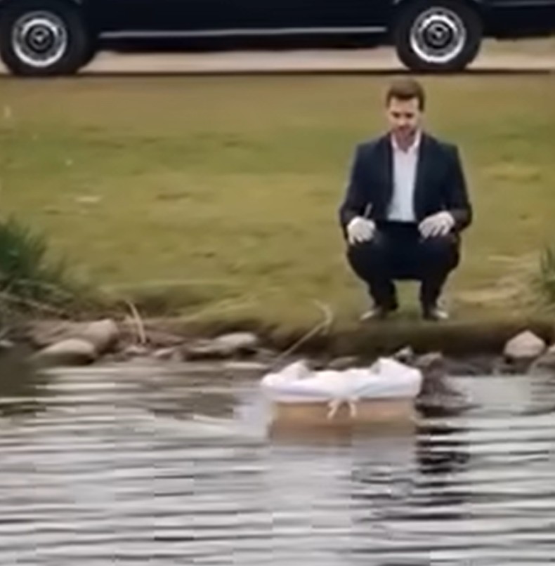 Rex – priča o odanosti koja je promijenila sve