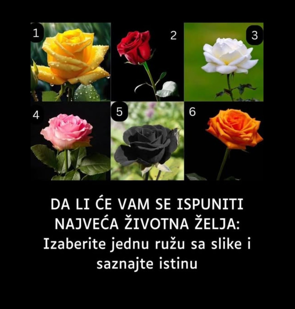 Izaberite jednu ružu i saznajte šta vam vaša odluka govori o vama