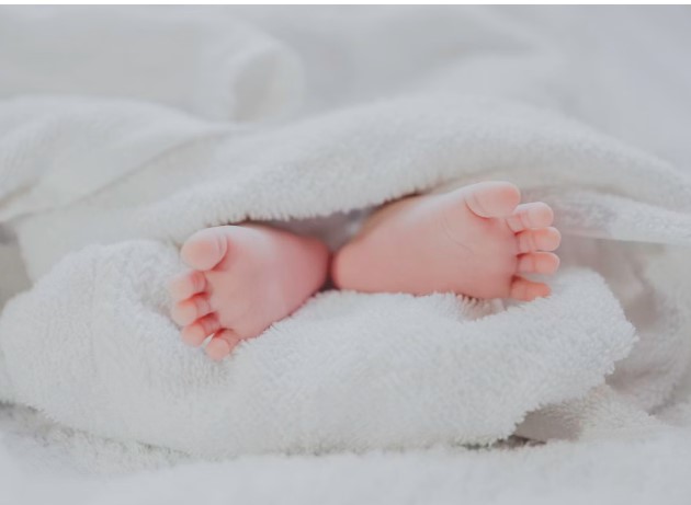 Léon: Priča o hrabrosti, ljubavi i tišini koja govori više od riječi