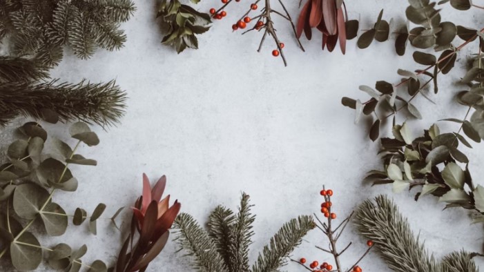 Irena: Priča o hrabrosti, slobodi i postavljanju granica