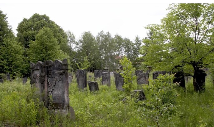 San koji nije dao mira: Priča o majčinskoj intuiciji i traganju za istinom