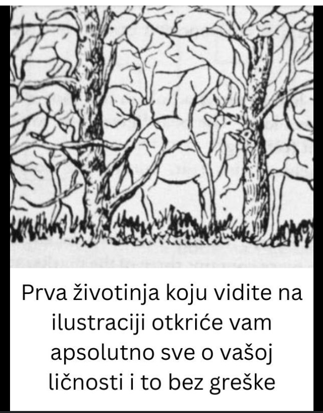Vizuelni testovi ličnosti: Šta otkriva prva životinja koju vidite na ilustraciji