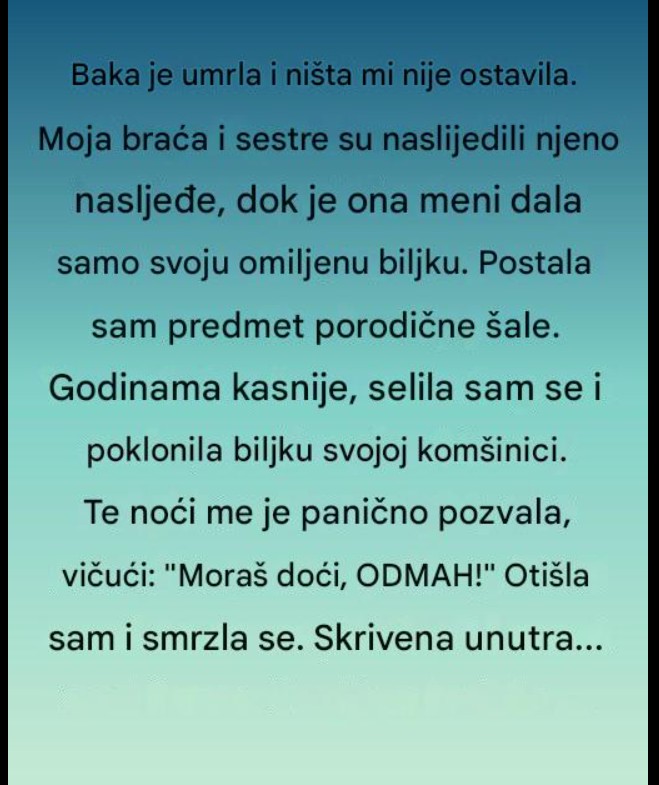 Biljka koja je nosila tajnu