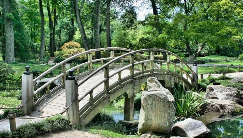 Starica koja je svake noći kopala zemlju: tajna koja je promenila celo selo