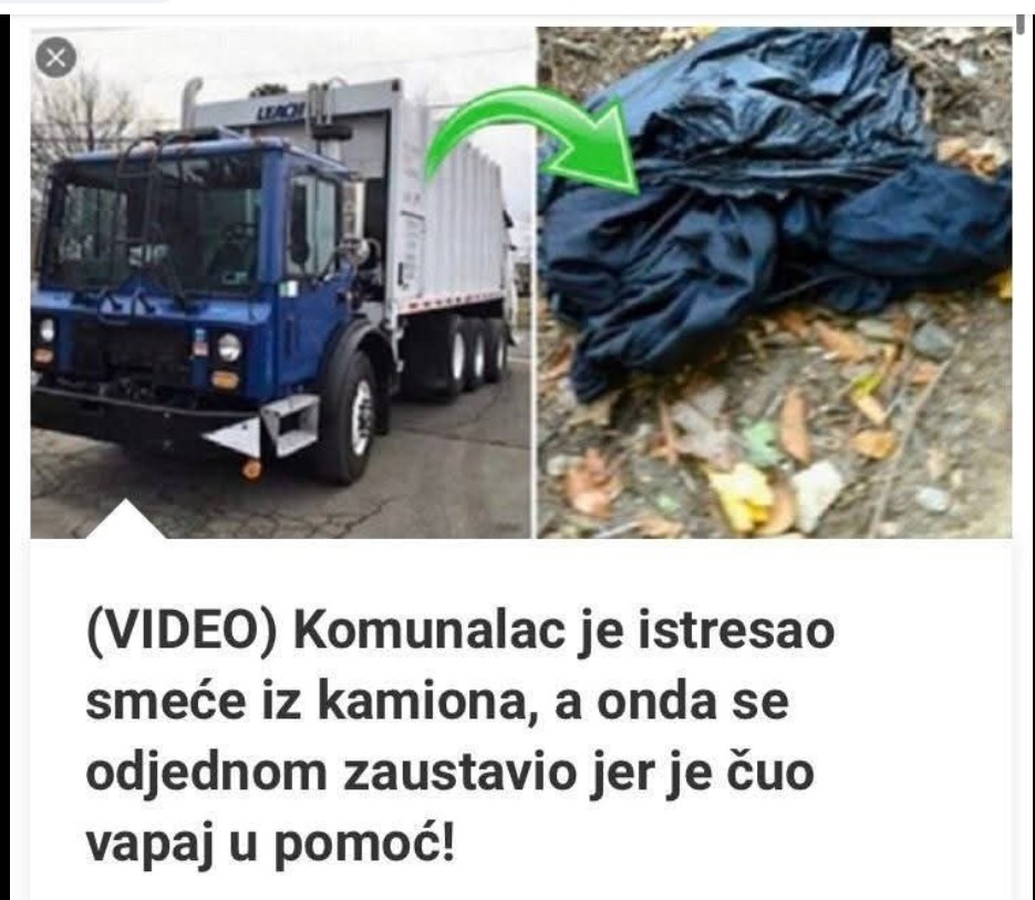 Čudo preživljavanja: kako je zanemarena mačka izbjegla siguran kraj i dobila novi život