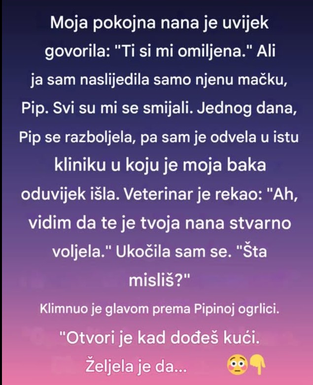 „Svi su se smejali kada sam nasledila bakinu mačku – ali ona je krila poslednju tajnu“