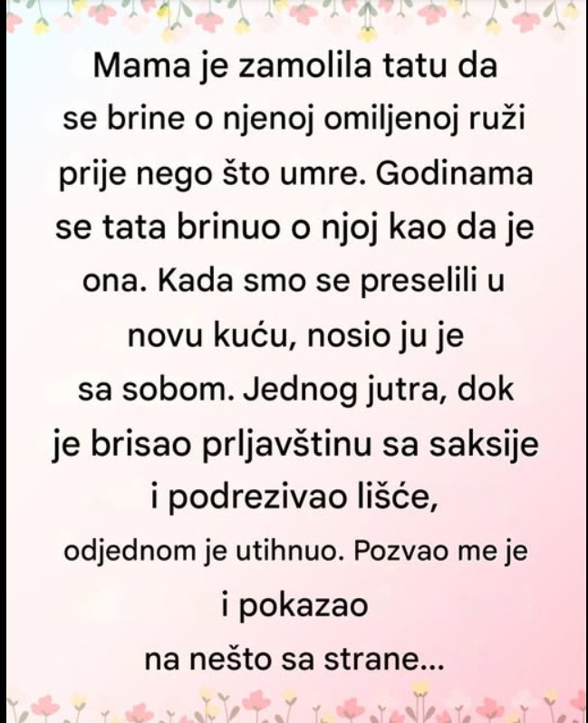 Ruža koja je sačuvala ljubav: Tiha priča o obećanju koje traje