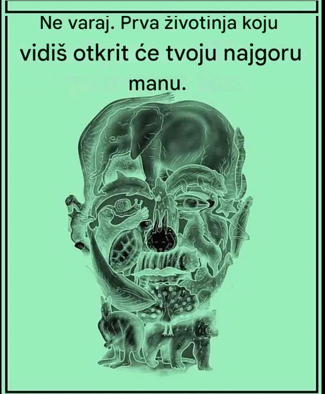 Zabavna vizualna zagonetka: koja životinja ti prvo privuče pažnju?