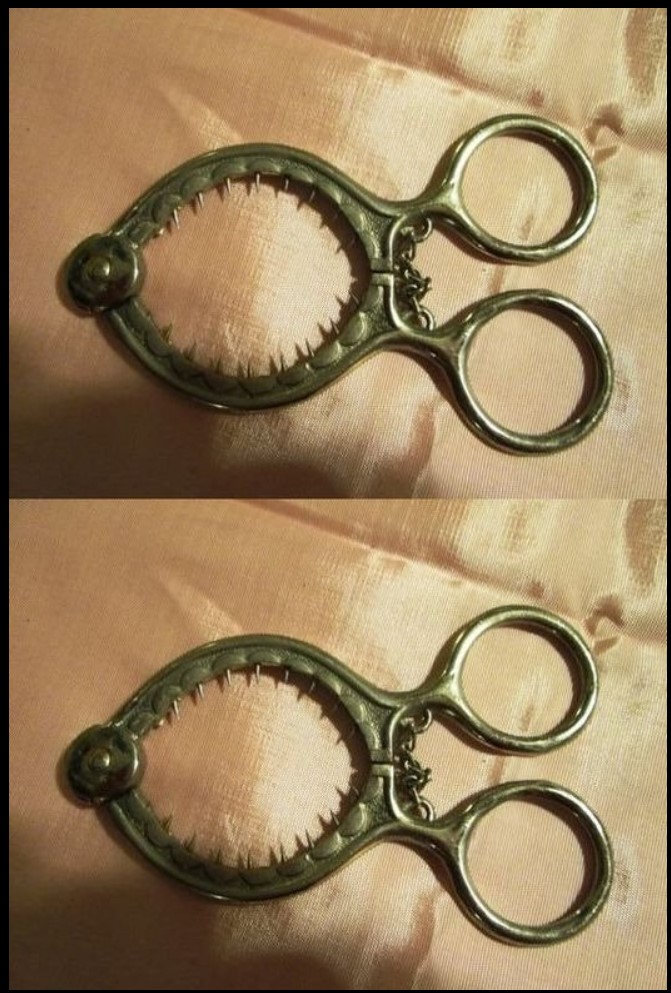 Kako pravilno koristiti neobične kuhinjske alate i unaprediti svoje kulinarske veštine