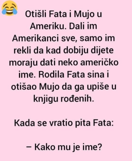 VIC DANA: Fata i Mujo u Americi