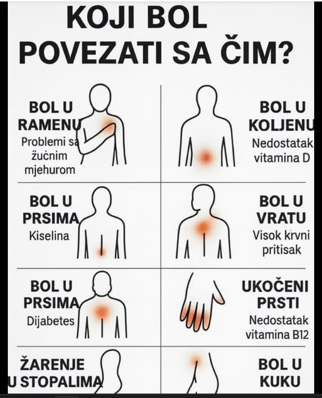 Vitaminska Bomba – Kako prepoznati signale tijela i podržati zdravlje prirodnim putem