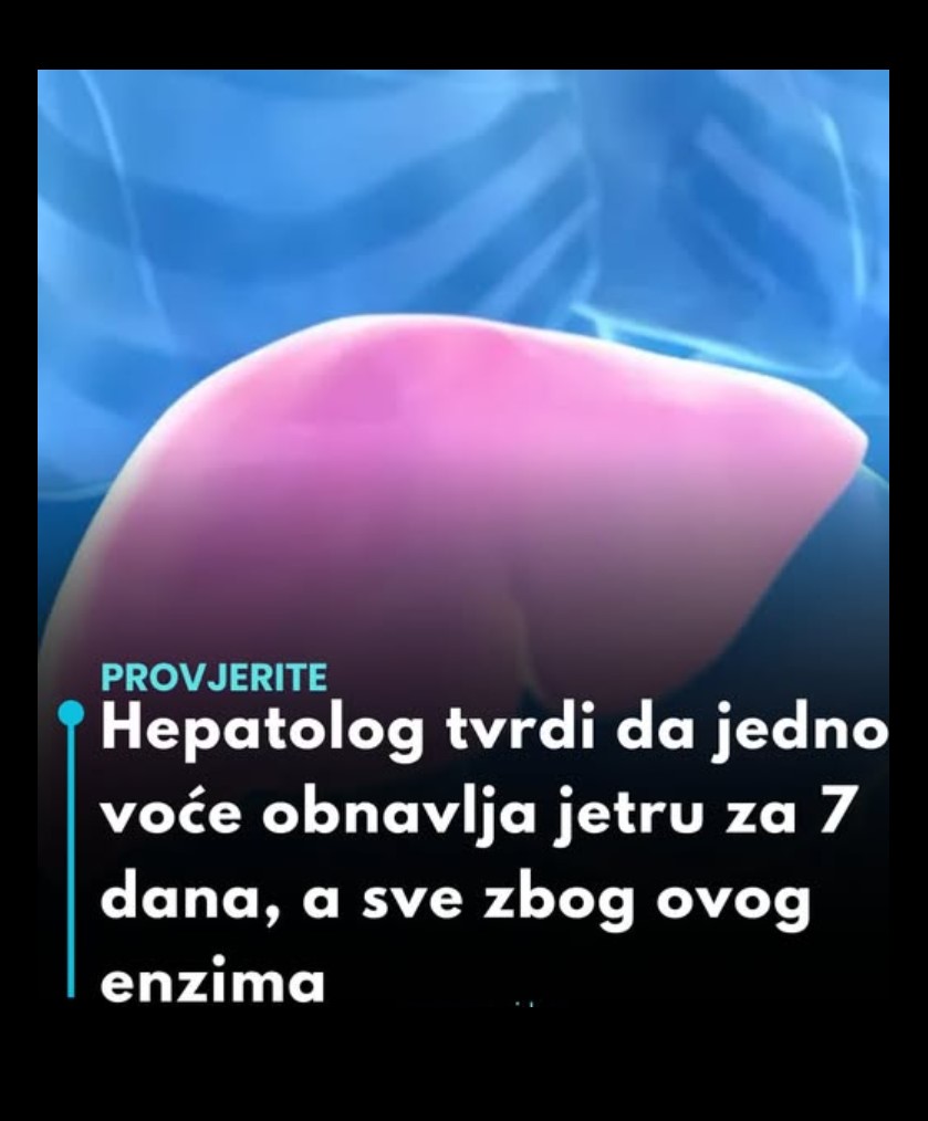 Borovnice – prirodni saveznik zdravlja vaše jetre