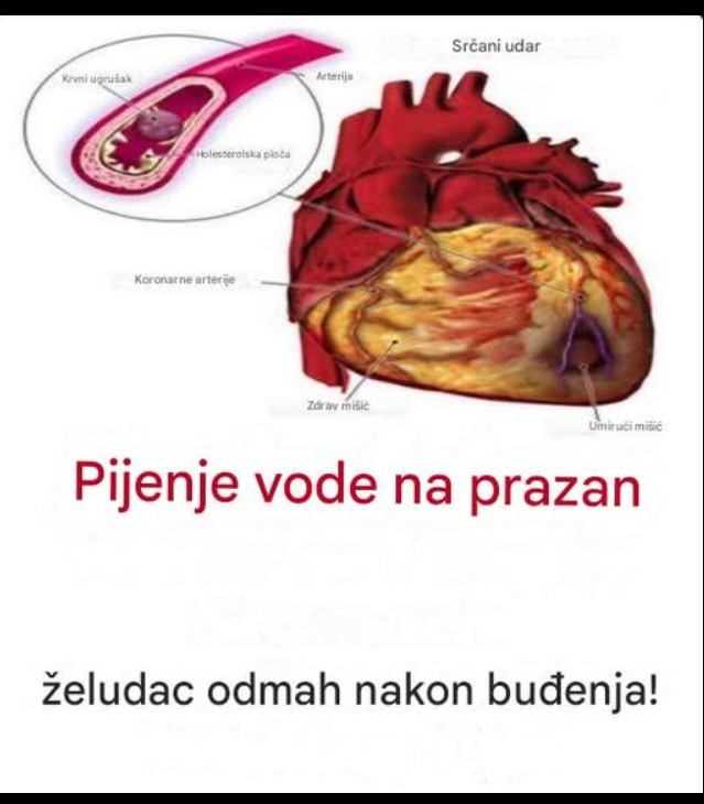 Kada je najbolje piti vodu? Istina o hidrataciji i čestim mitovima