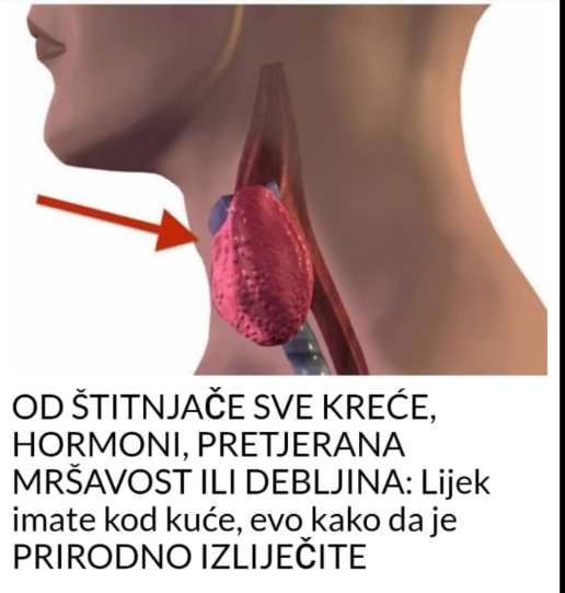 OD ŠTITNJAČE SVE KREĆE, HORMONI, PRETJERANA MRŠAVOST ILI DEBLJINA: Lijek imate kod kuće, evo kako da je PRIRODNO IZLIJEČITE