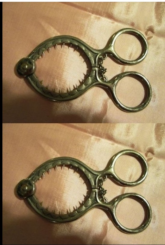 Kako pravilno koristiti neobične kuhinjske alate i unaprediti svoje kulinarske veštine