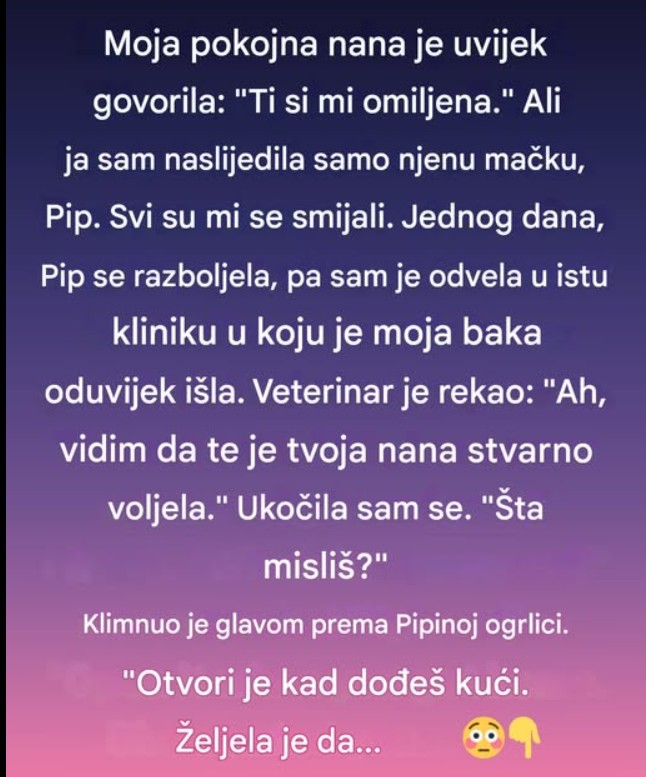 „Svi su se smejali kada sam nasledila bakinu mačku – ali ona je krila poslednju tajnu“