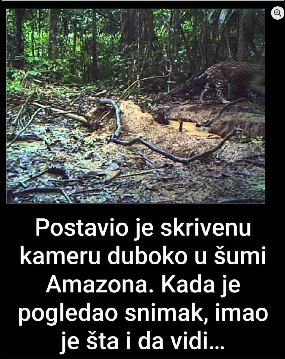 Postavio je skrivenu kameru u srcu Amazona i otkrio svijet koji rijetki imaju priliku vidjeti