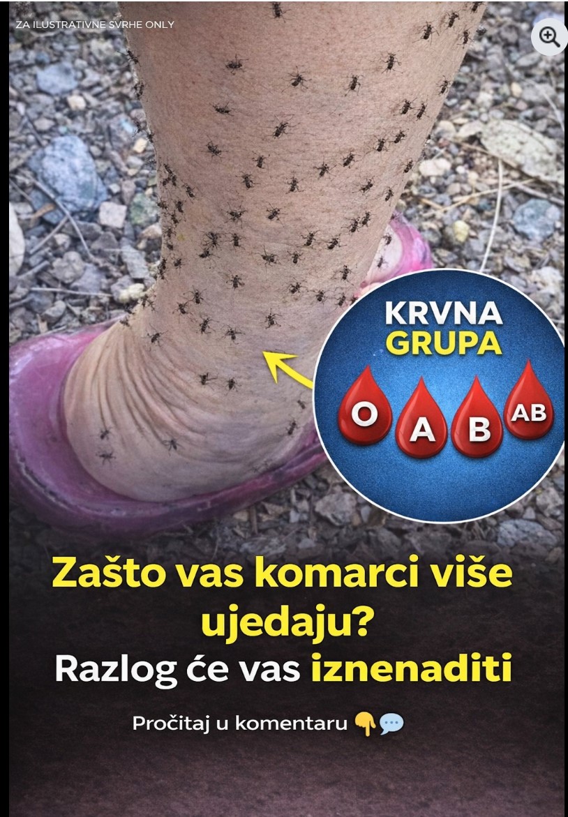 Zašto komarci uvijek odabiru baš vas: Naučno objašnjenje koje malo ko zna