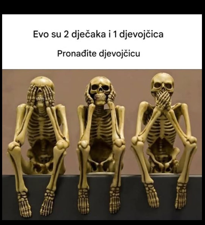 Vizuelna zagonetka koja zbunjuje internet: možete li prepoznati ženski kostur?