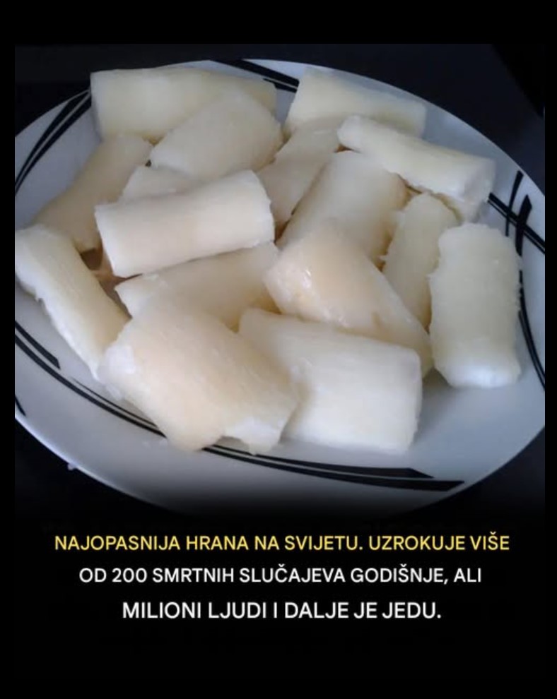 Manioka i cijanid: kako priprema korijen sigurnim za jelo