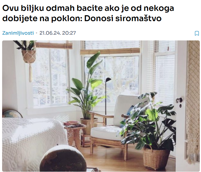 Ovu biljku odmah bacite ako je od nekoga dobijete na poklon: Donosi siromaštvo