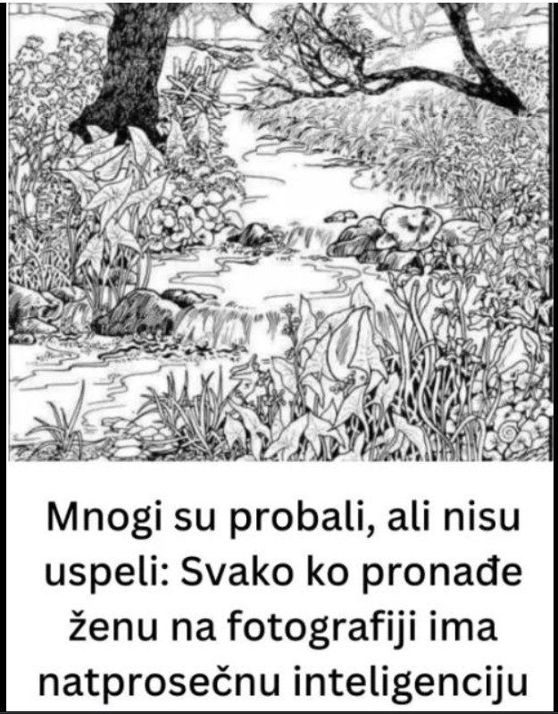 Možete li pronaći skriveno lice? Vizuelni izazov koji testira pažnju i percepciju