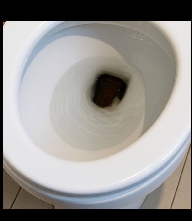 Zmija u toaletu: susret koji mi je zaledio krv u žilama