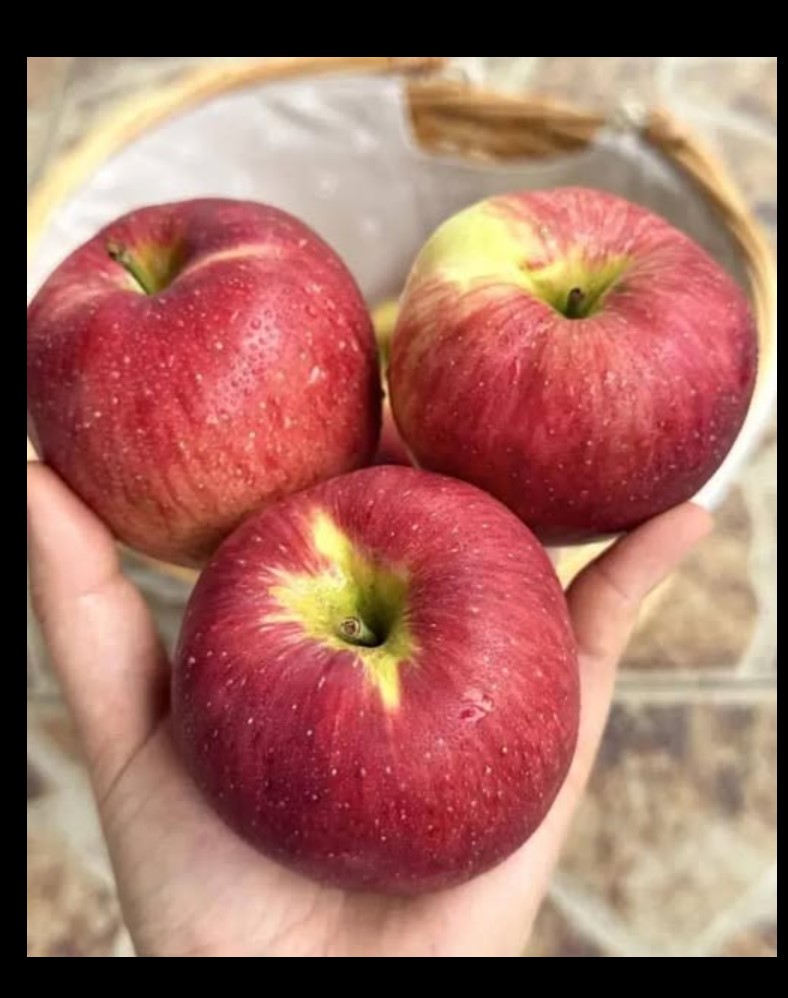 „Jedna jabuka dnevno: jednostavna navika sa snažnim benefitima za zdravlje“