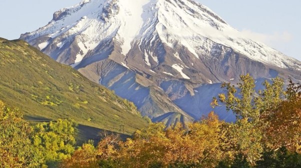 Kada porodični izlet postane upozorenje priča o povjerenju granicama i preživljavanju