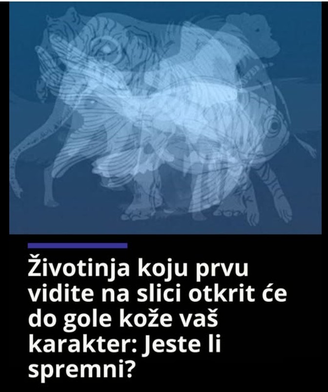 Koju životinju ste prvo primetili? Zabavni test ličnosti zasnovan na intuiciji