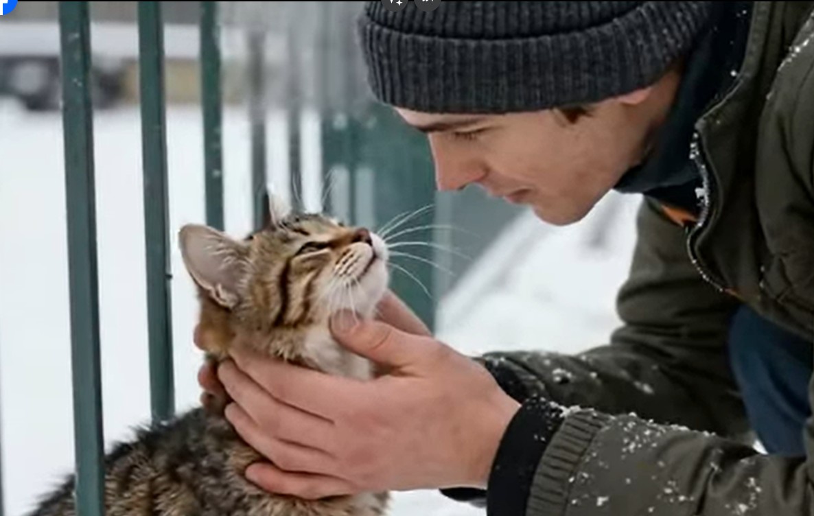 Snaga malih djela: Kako jedan čin dobrote može promijeniti nečiji svijet