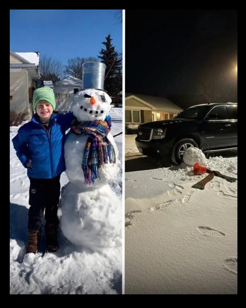 Snješko koji je naučio komšiju poštovanju granica