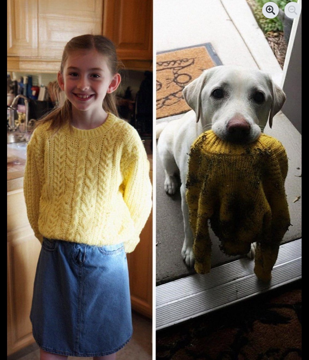 Pas je pronašao nešto na trijemu – i otkrio tihu tajnu naše kćerke