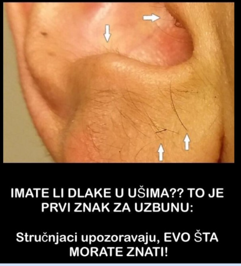 IMATE LI DLAKE U UŠIMA?? TO JE PRVI ZNAK ZA UZBUNU: Stručnjaci upozoravaju, EVO ŠTA MORATE ZNATI!