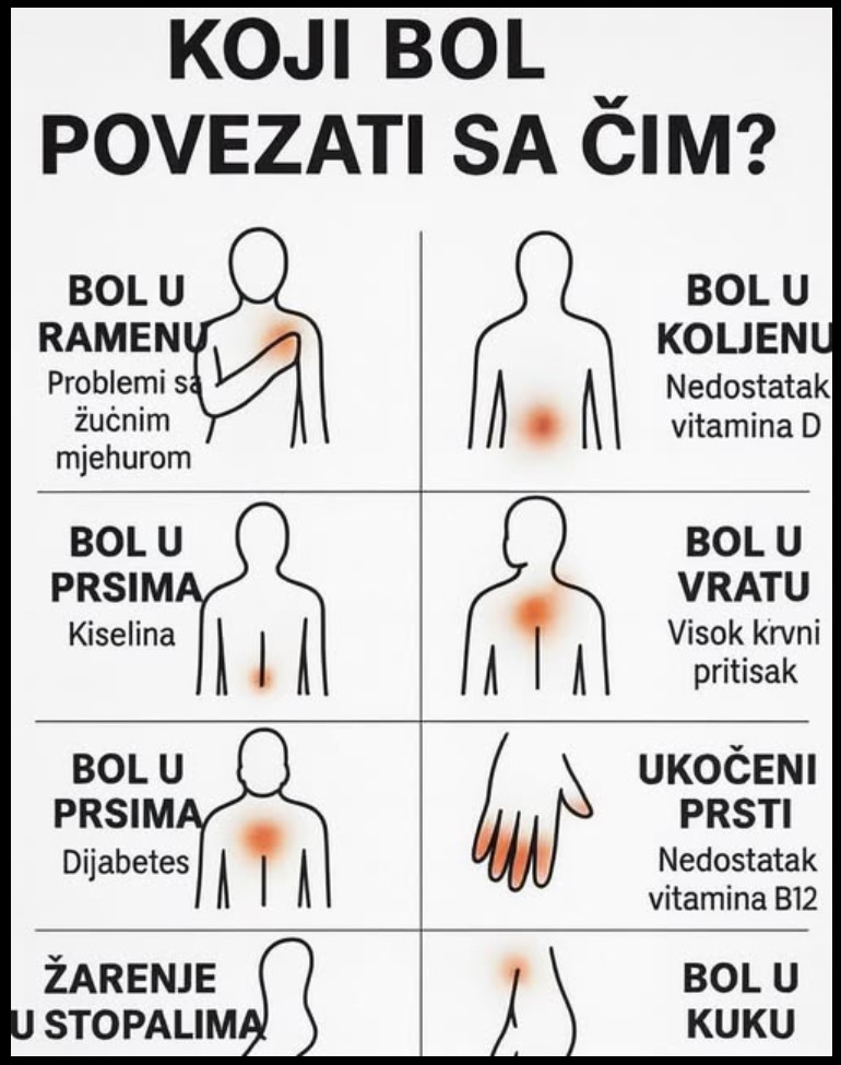 Vitaminska Bomba – Kako prepoznati signale tijela i podržati zdravlje prirodnim putem