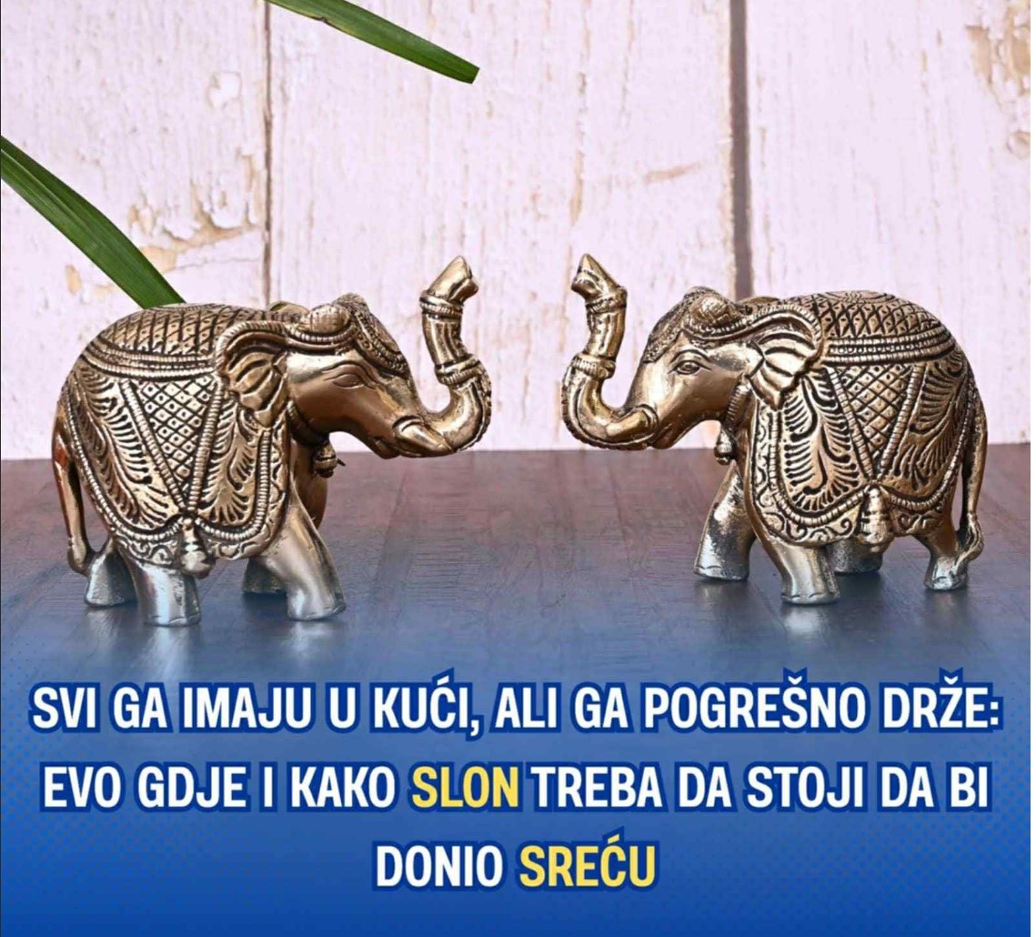 Da li znate simboliku slona u domu? Evo kako ga postaviti za harmoniju i dobru energiju