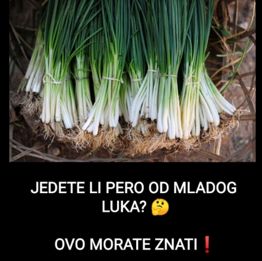 JEDETE LI ZELENI DIO KOD MLADOG LUKA? EVO ŠTA TREBATE ZNATI: Svi su iznenađeni – OBJAVLJENO 5 STVARI