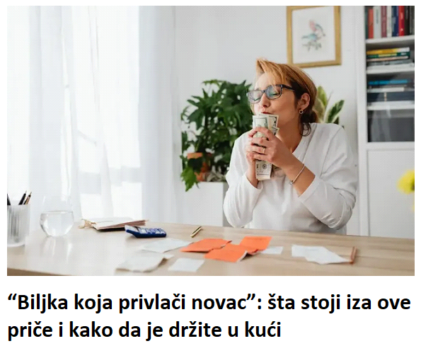 “Biljka koja privlači novac”: šta stoji iza ove priče i kako da je držite u kući