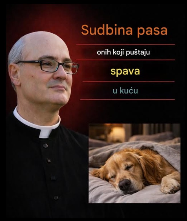 Zašto Psi Vole da Spavaju u Kući: Emocionalna Veza, Poverenje i Osećaj Sigurnosti