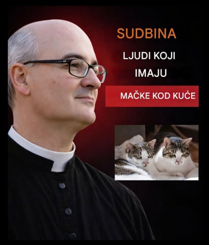 Duhovna simbolika života sa mačkom: lekcije za unutrašnji rast