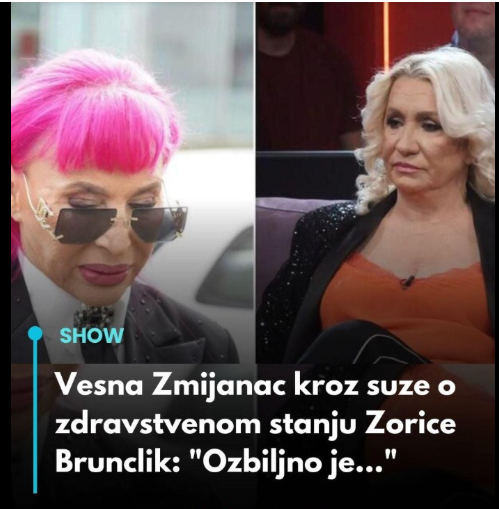 Vesna Zmijanac kroz 0TKRlLA U KAKV0M JE STANJU Zorica Brunclik….