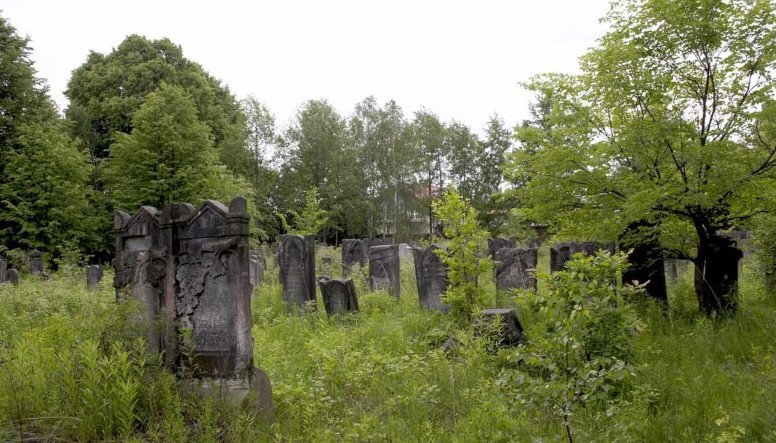 San koji nije dao mira: Priča o majčinskoj intuiciji i traganju za istinom