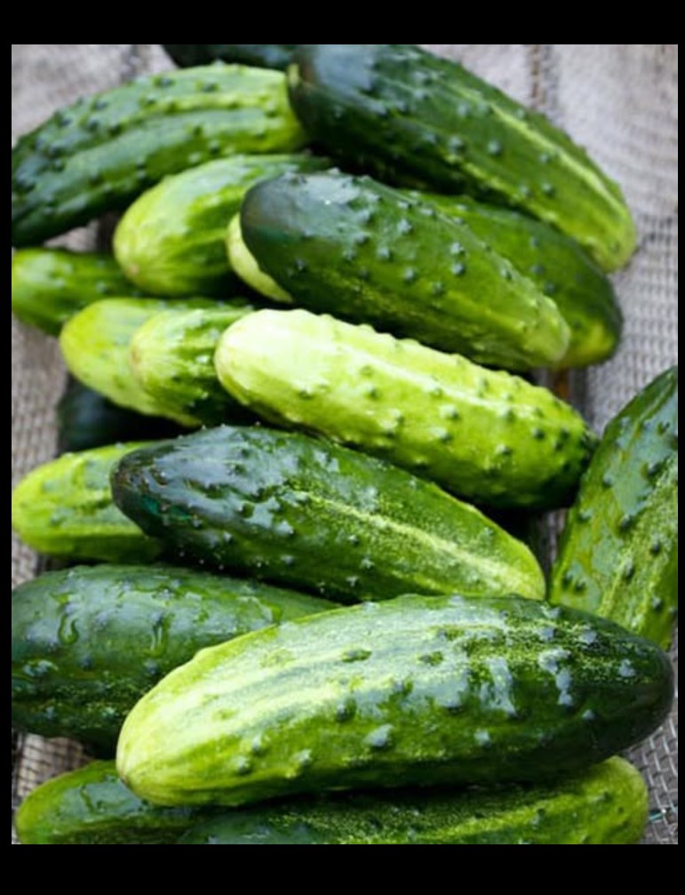 8 razloga zašto je krastavac superhrana za vaš organizam